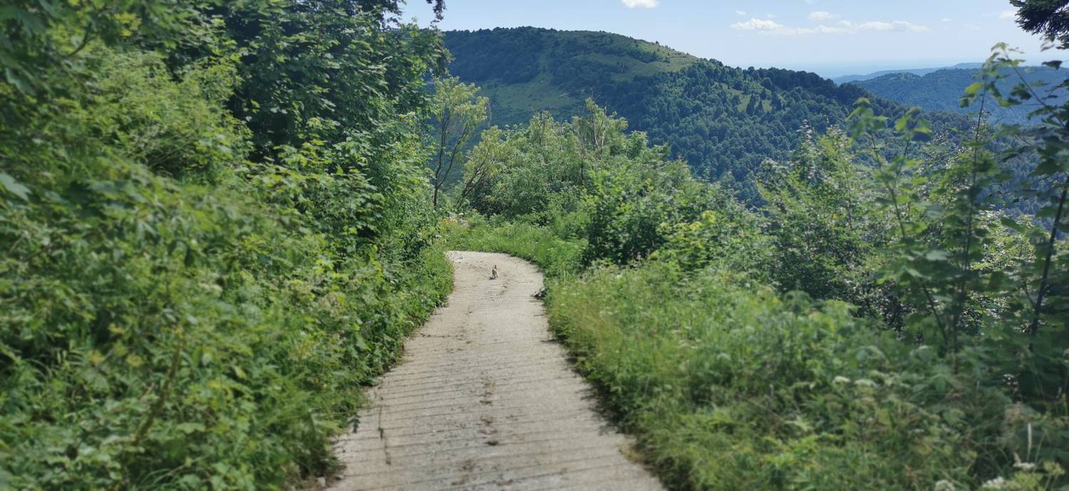 Planina Kuhinja - Planina Kuhinja slika 44