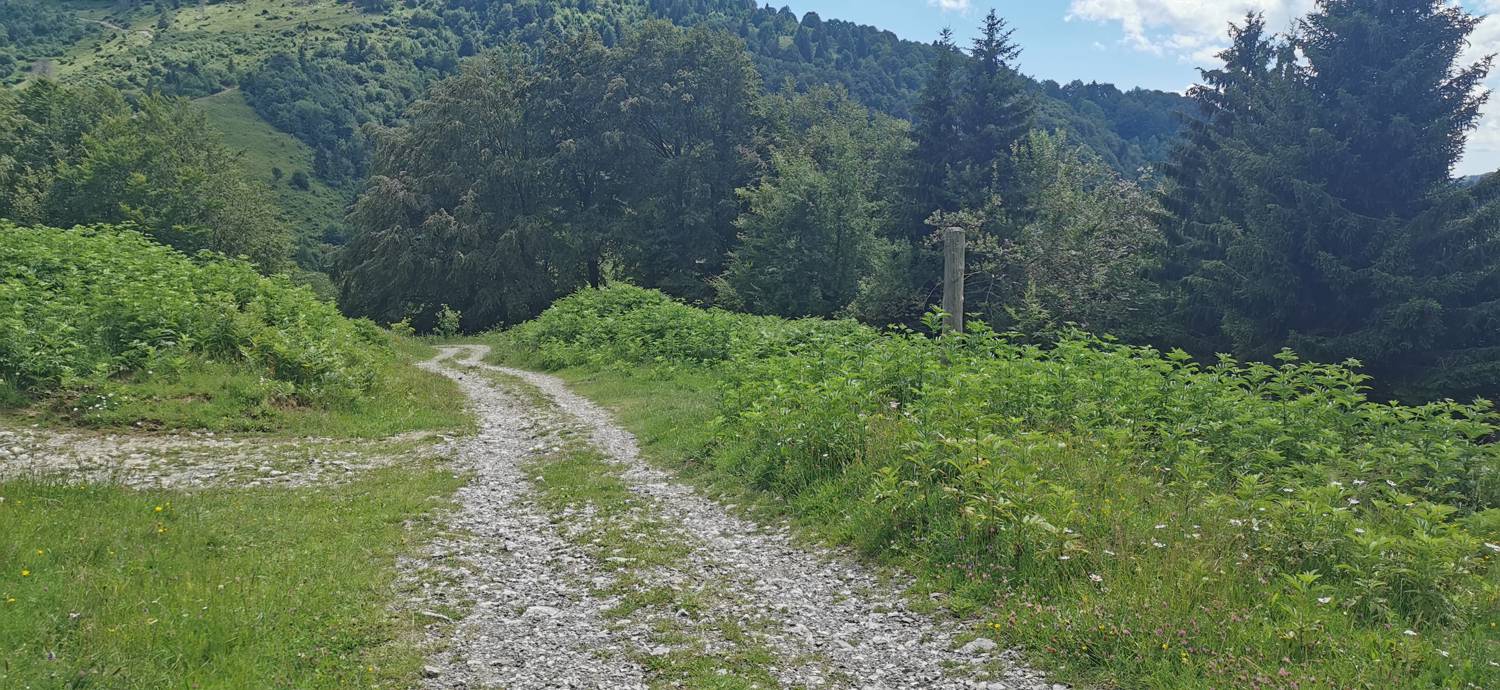 Planina Kuhinja - Planina Kuhinja slika 48