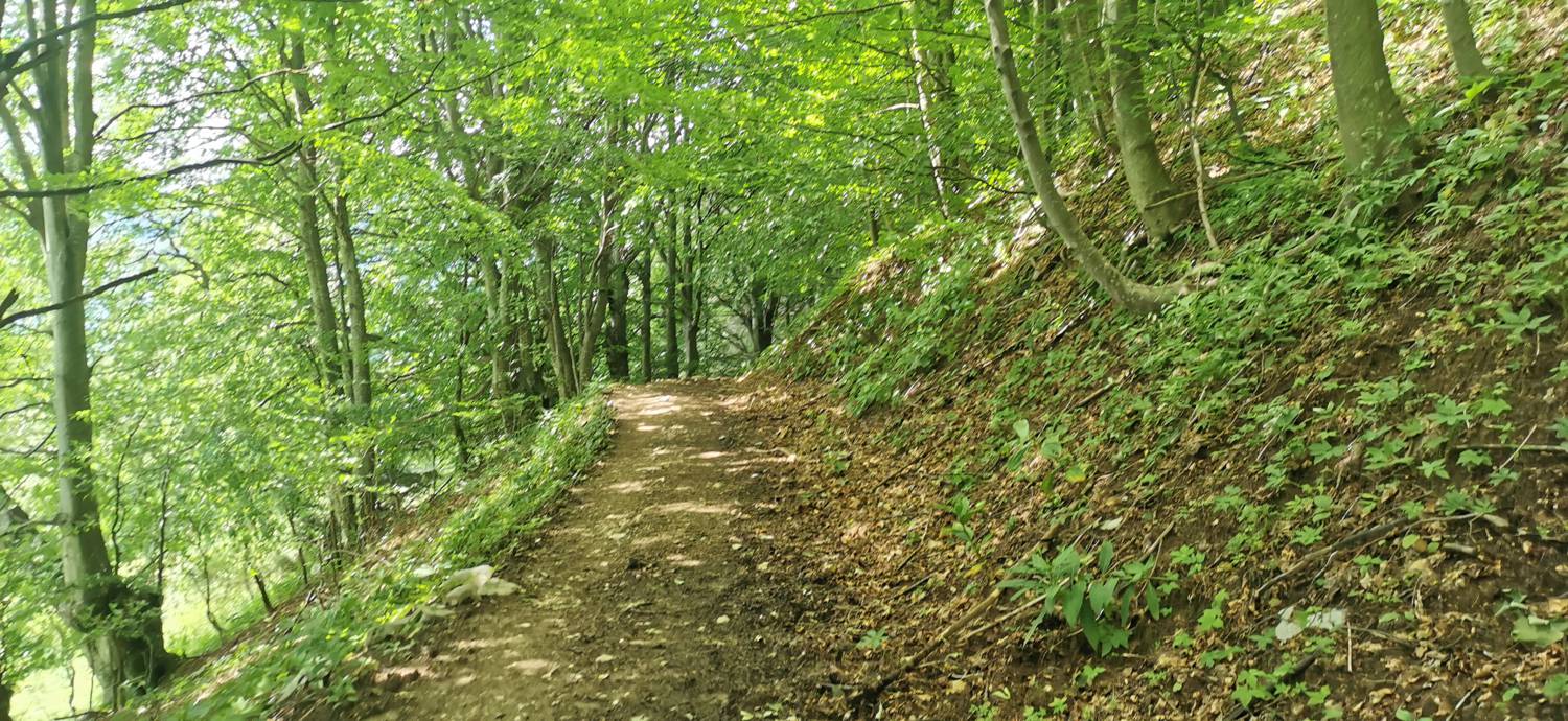 Planina Kuhinja - Planina Kuhinja slika 50