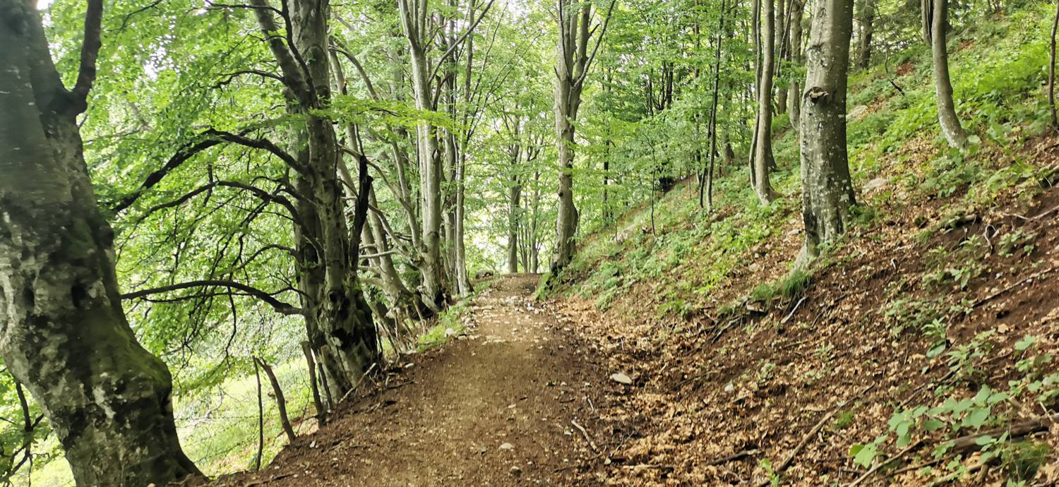 Planina Kuhinja - Planina Kuhinja slika 51