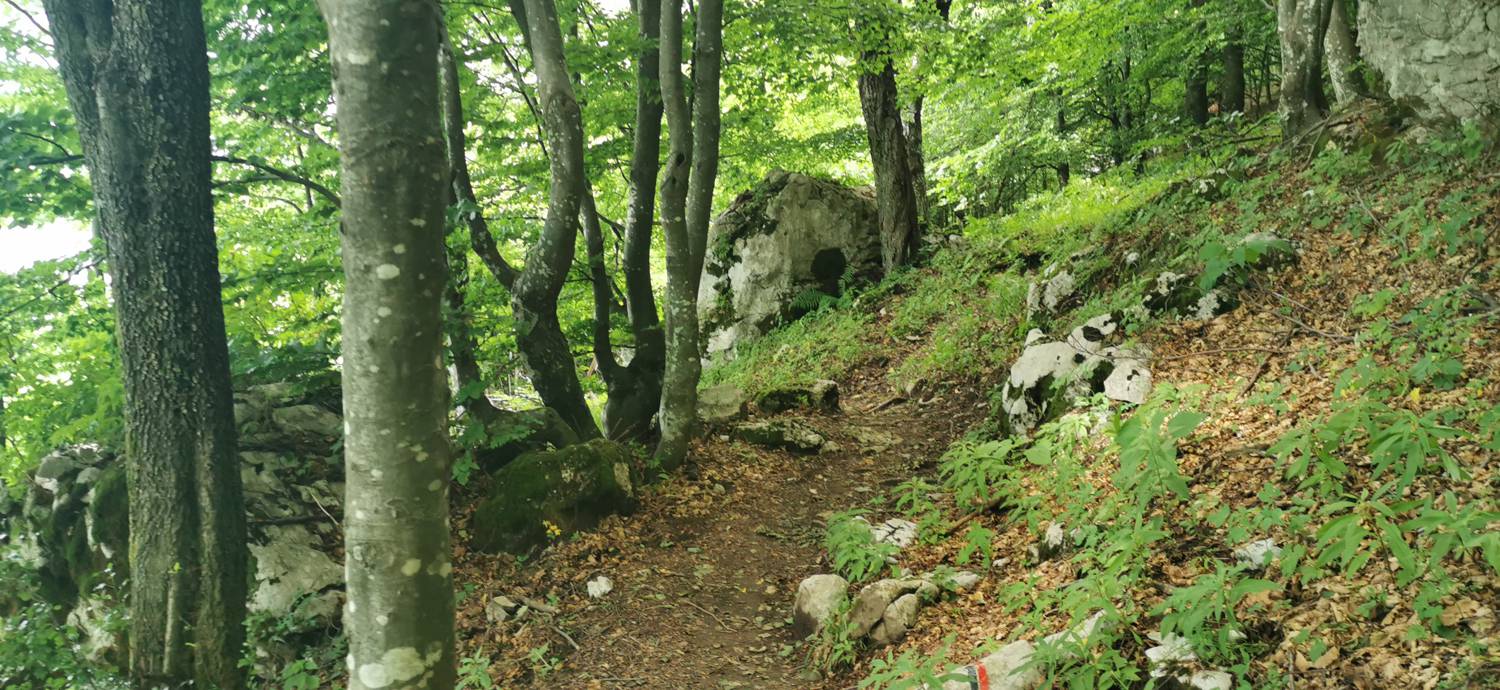 Planina Kuhinja - Planina Kuhinja slika 53