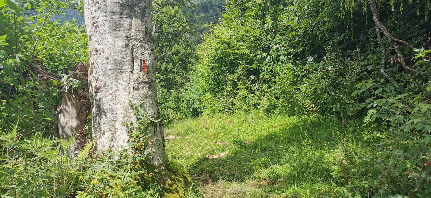 Planina Kuhinja - Planina Kuhinja slika 54