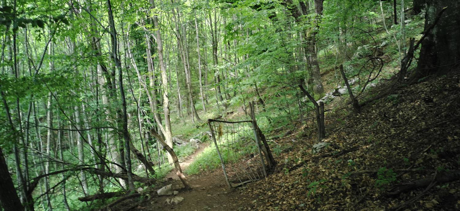 Planina Kuhinja - Planina Kuhinja slika 55
