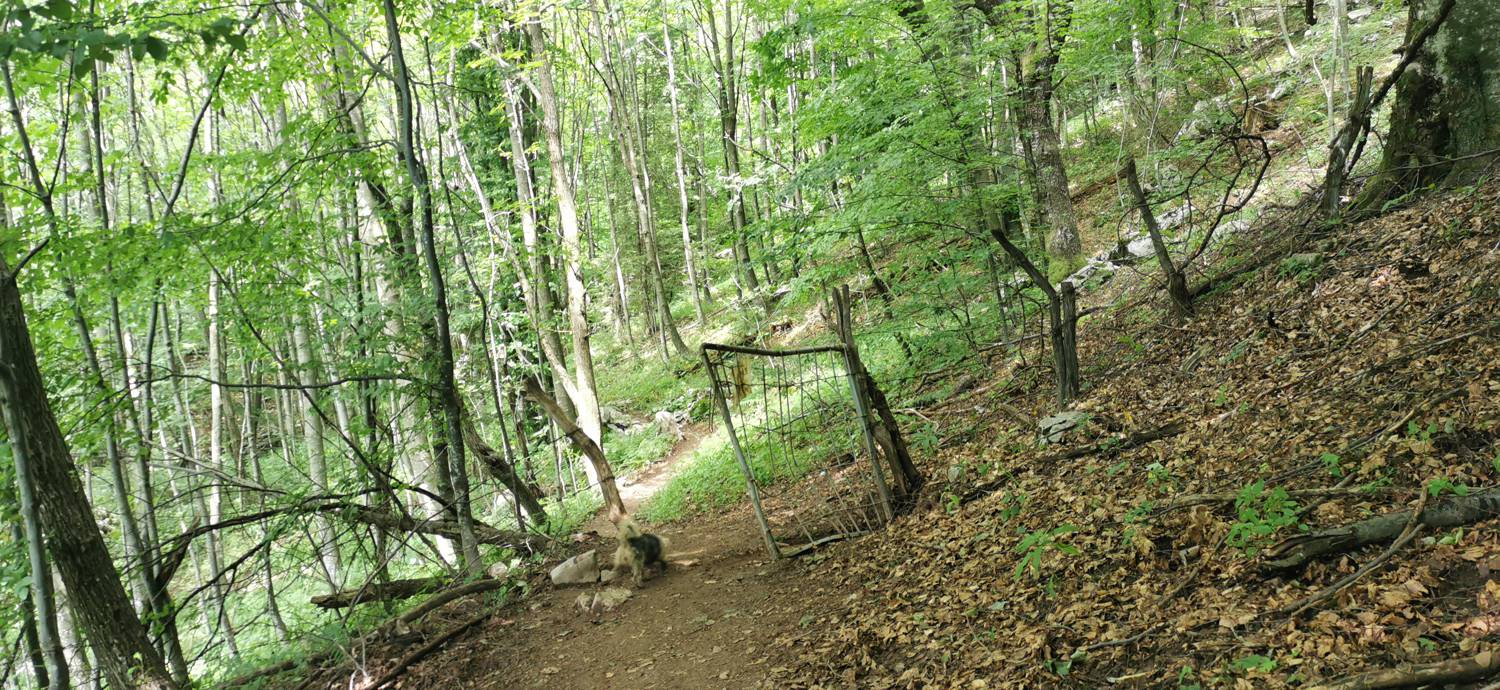 Planina Kuhinja - Planina Kuhinja slika 56