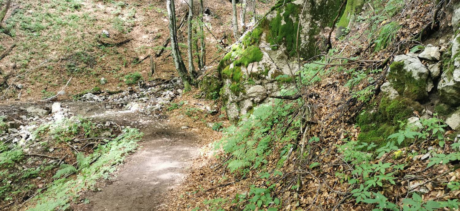 Planina Kuhinja - Planina Kuhinja slika 57
