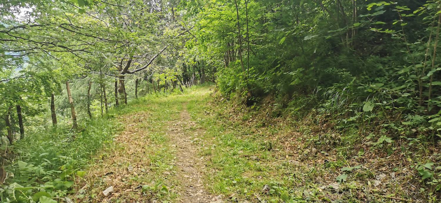 Planina Kuhinja - Planina Kuhinja slika 58