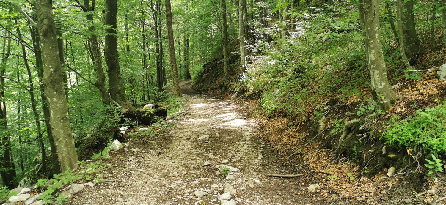 Planina Kuhinja - Planina Kuhinja slika 62