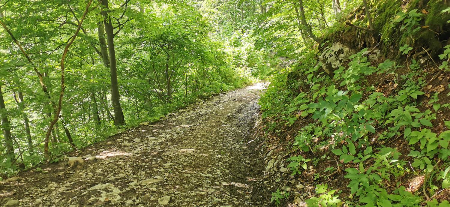 Planina Kuhinja - Planina Kuhinja slika 64
