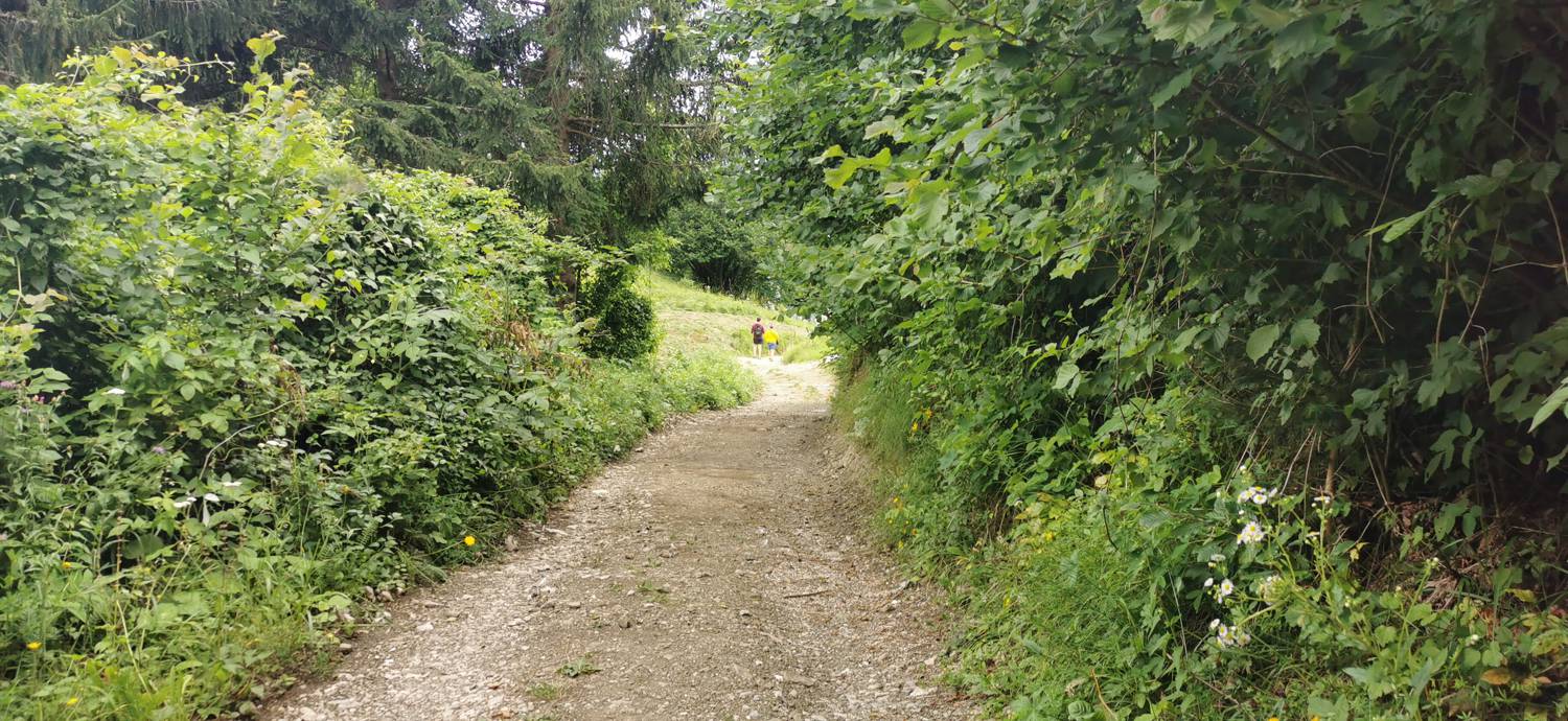 Planina Kuhinja - Planina Kuhinja slika 66