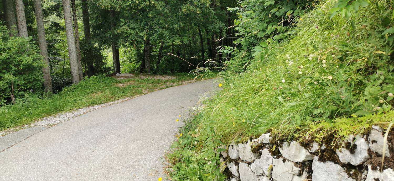 Planina Kuhinja - Planina Kuhinja slika 71