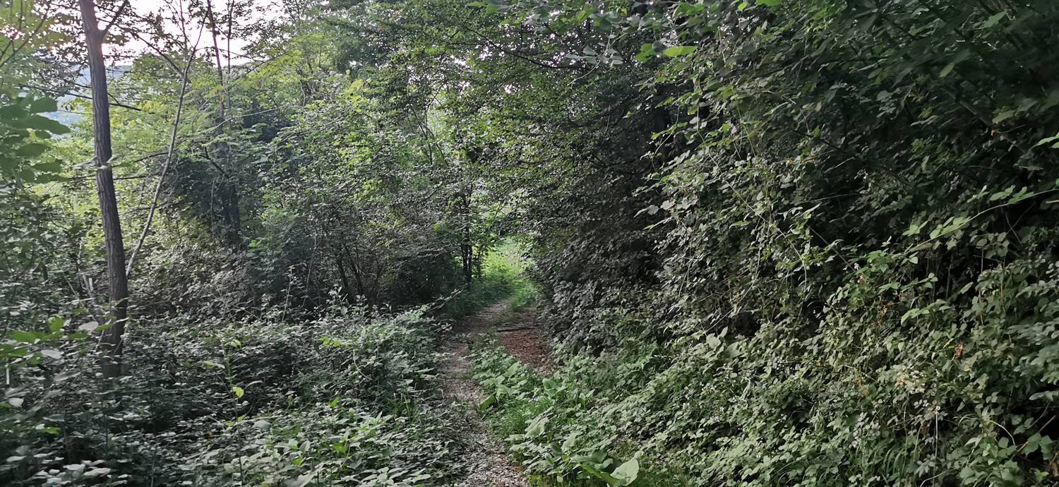 Plave - Sveti Kvirin na Paljevem slika 3