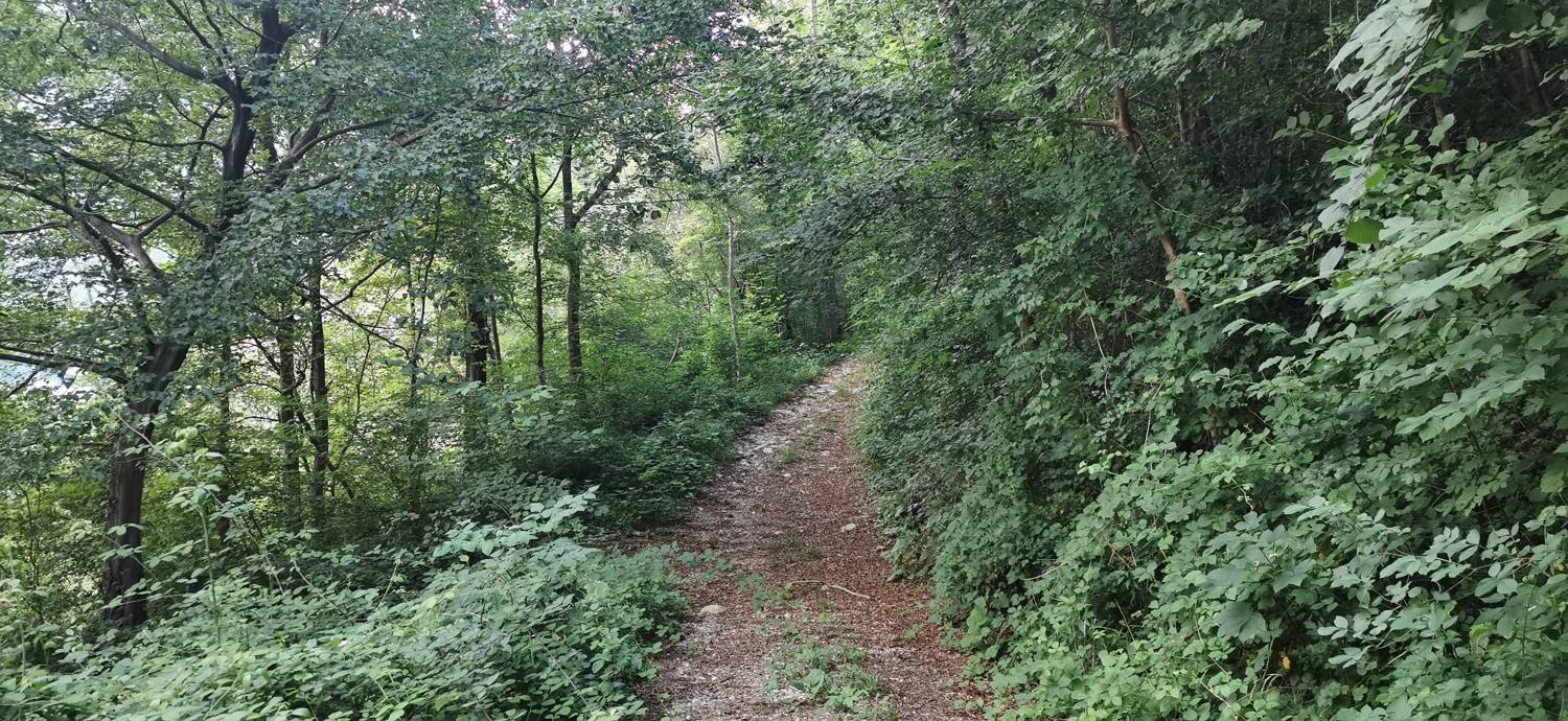 Plave - Sveti Kvirin na Paljevem slika 4