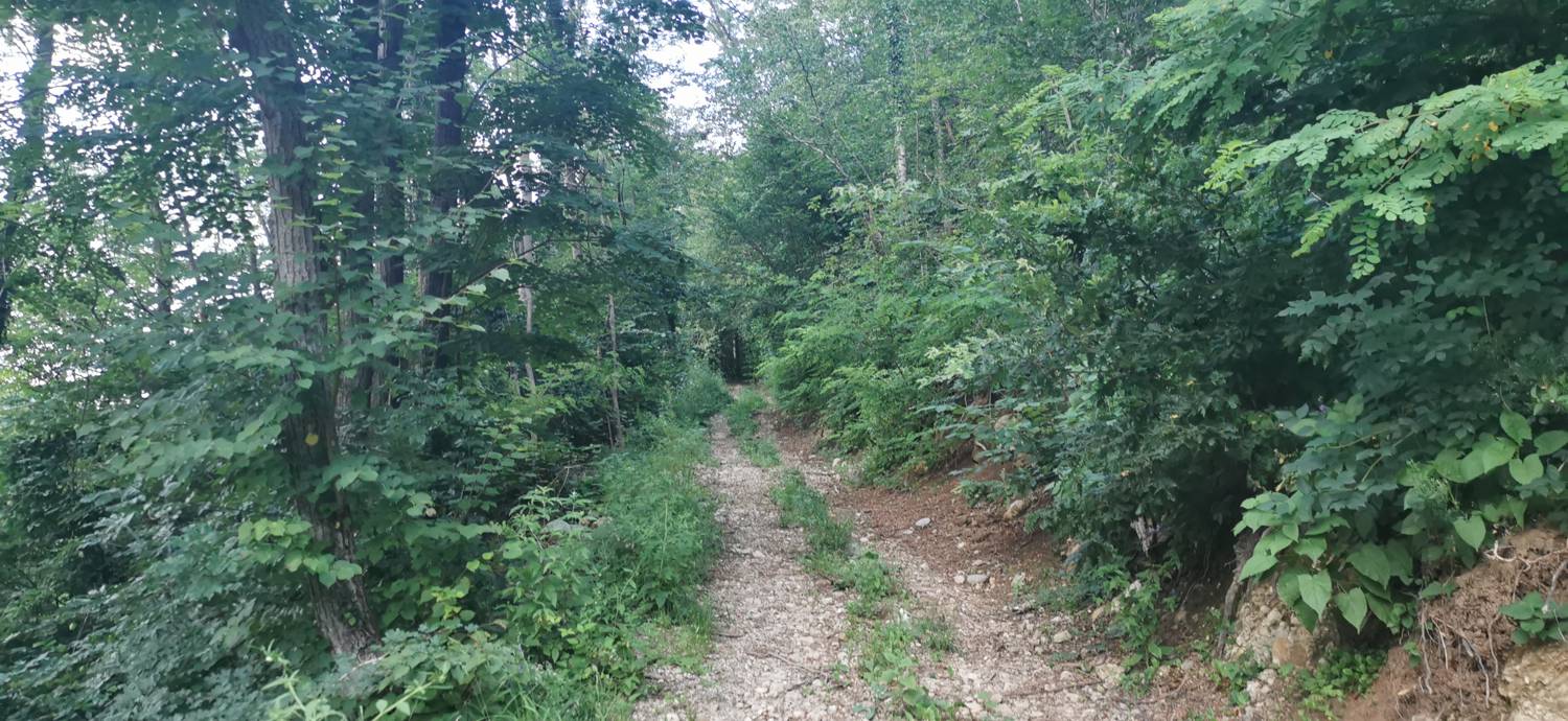 Plave - Sveti Kvirin na Paljevem slika 5