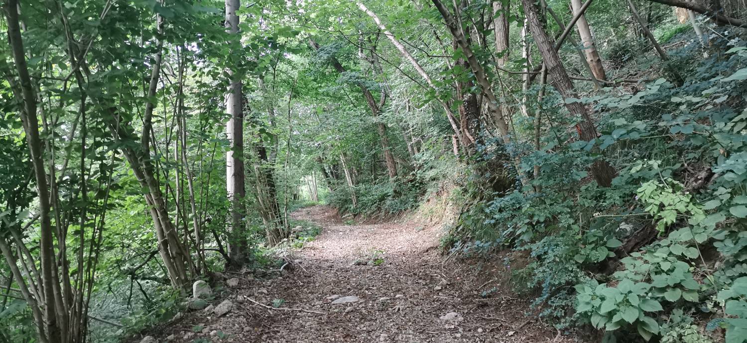 Plave - Prižnica slika 5