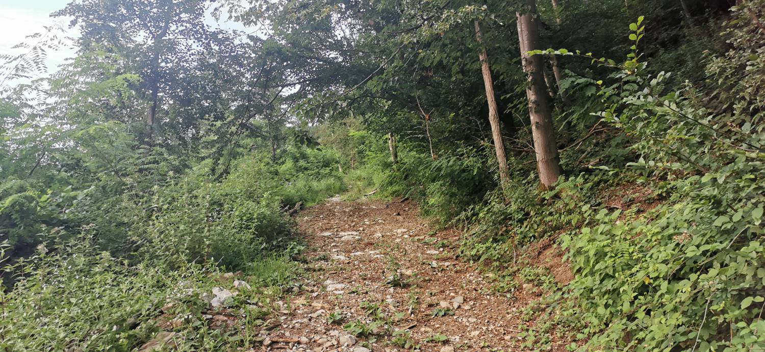 Plave - Sveti Kvirin na Paljevem slika 7