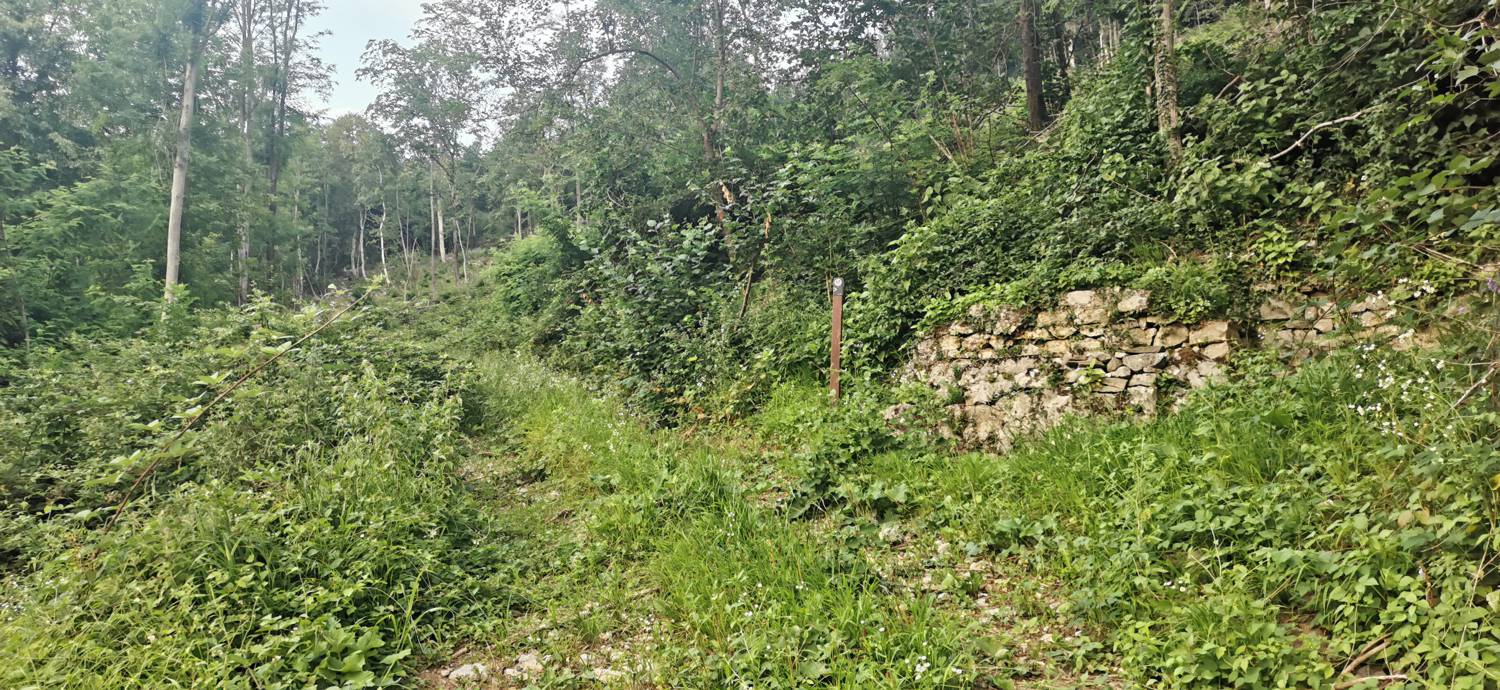 Plave - Sveti Kvirin na Paljevem slika 8