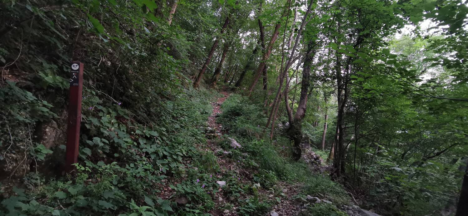 Plave - Prižnica slika 9