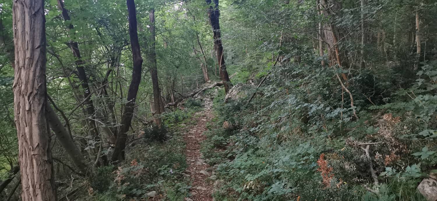 Plave - Prižnica slika 10