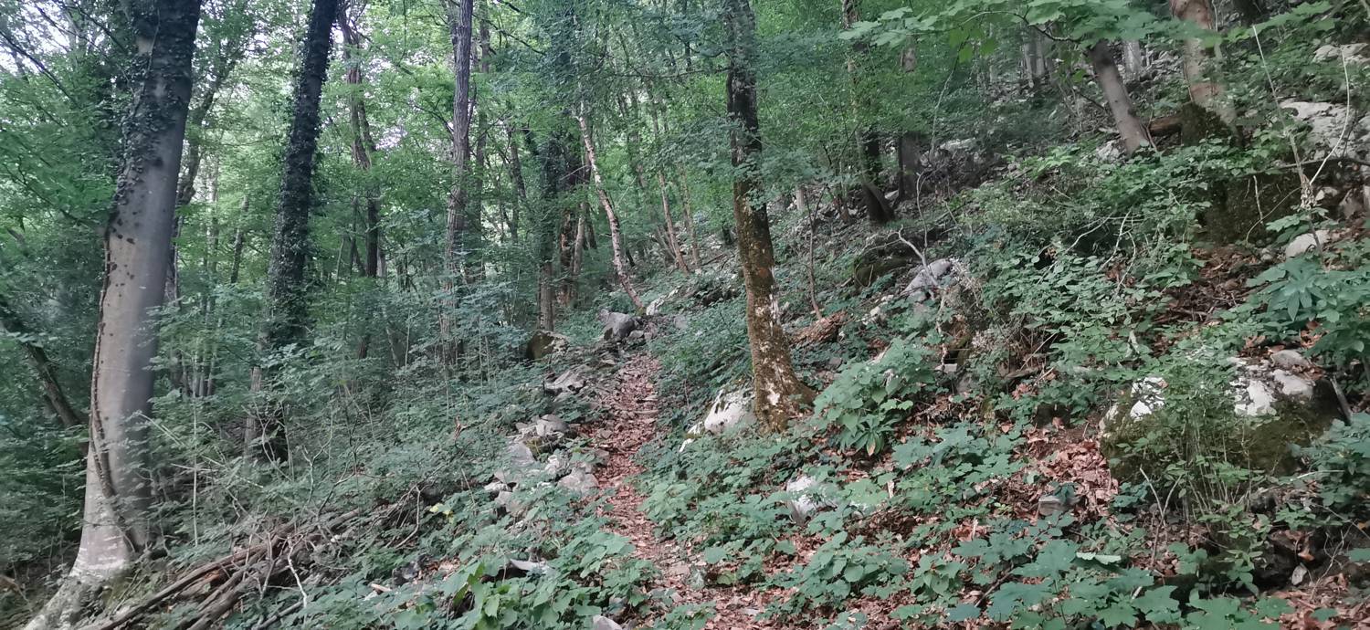 Plave - Sveti Kvirin na Paljevem slika 14