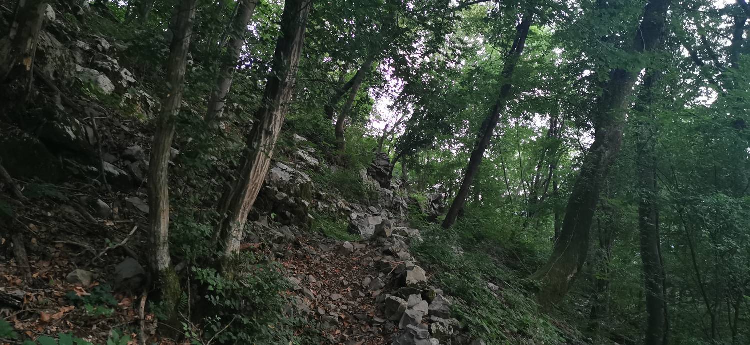Plave - Prižnica slika 13