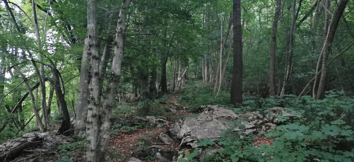Plave - Sveti Kvirin na Paljevem slika 16
