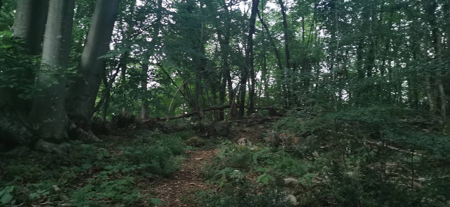 Plave - Sveti Kvirin na Paljevem slika 17
