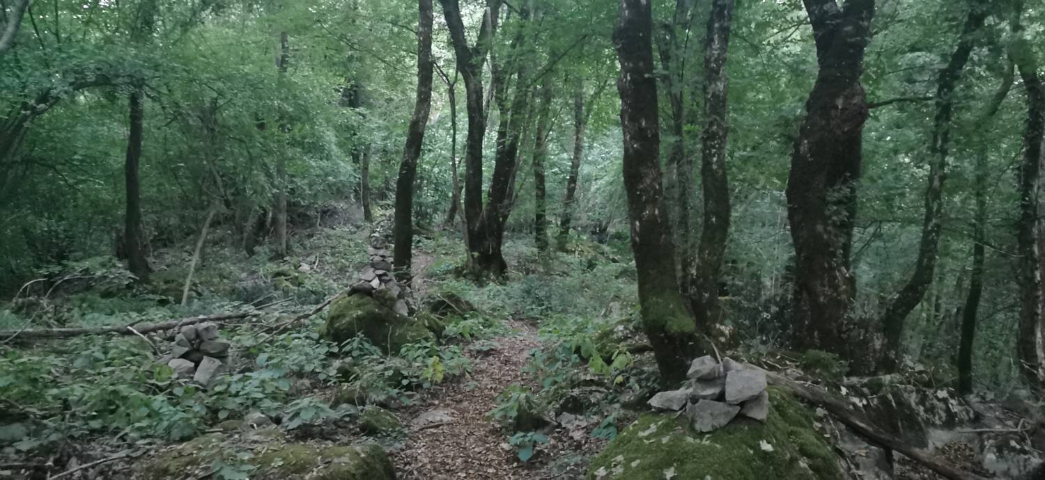 Plave - Prižnica slika 16