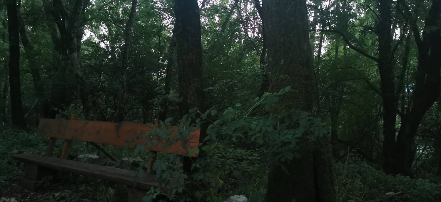 Plave - Sveti Kvirin na Paljevem slika 19