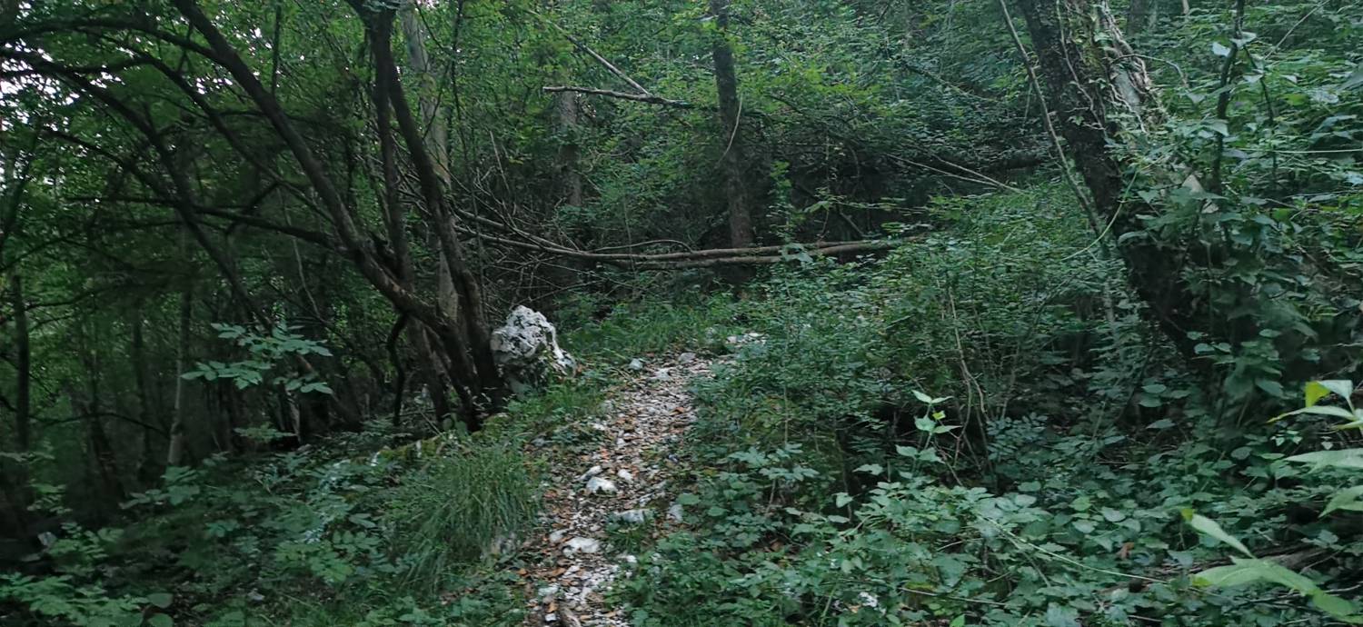 Plave - Sveti Kvirin na Paljevem slika 22