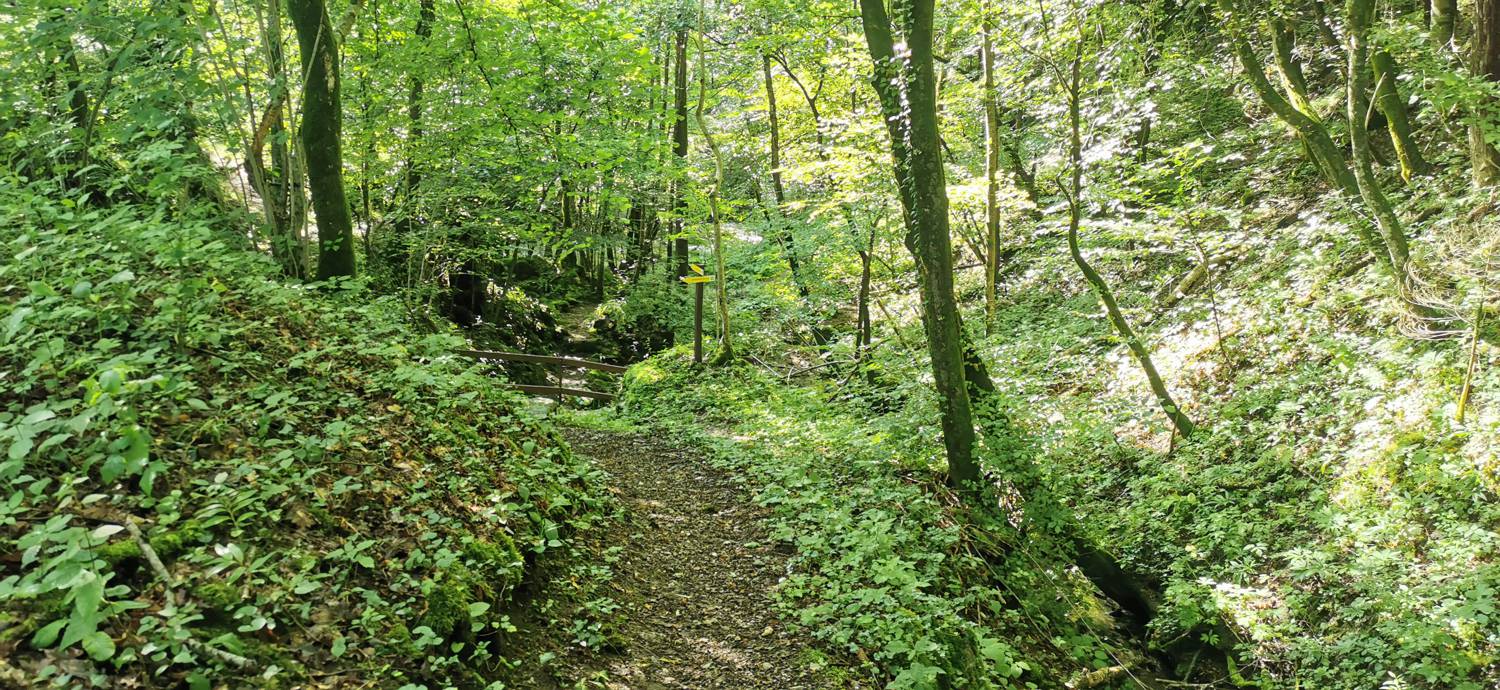 Kobarid (center) - Kobarid (center) slika 22