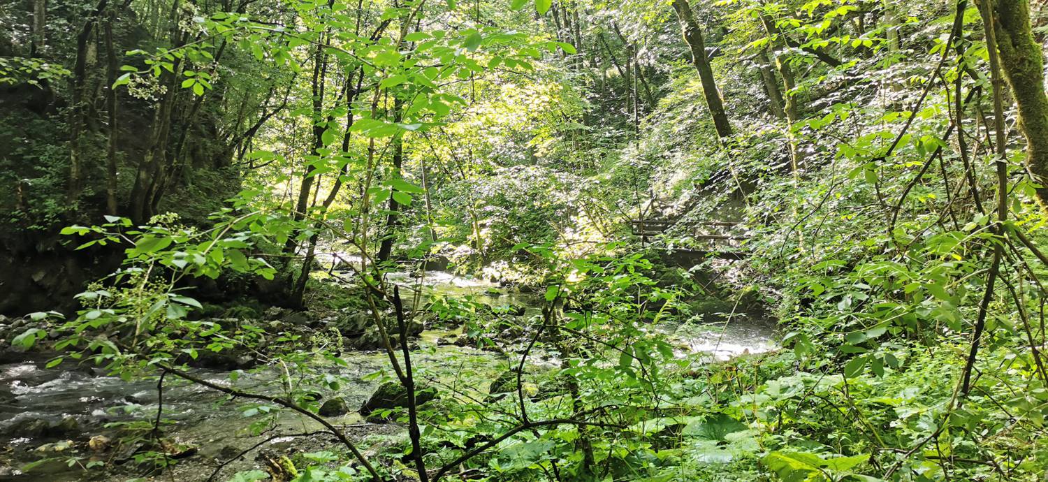 Kobarid (center) - Kobarid (center) slika 28