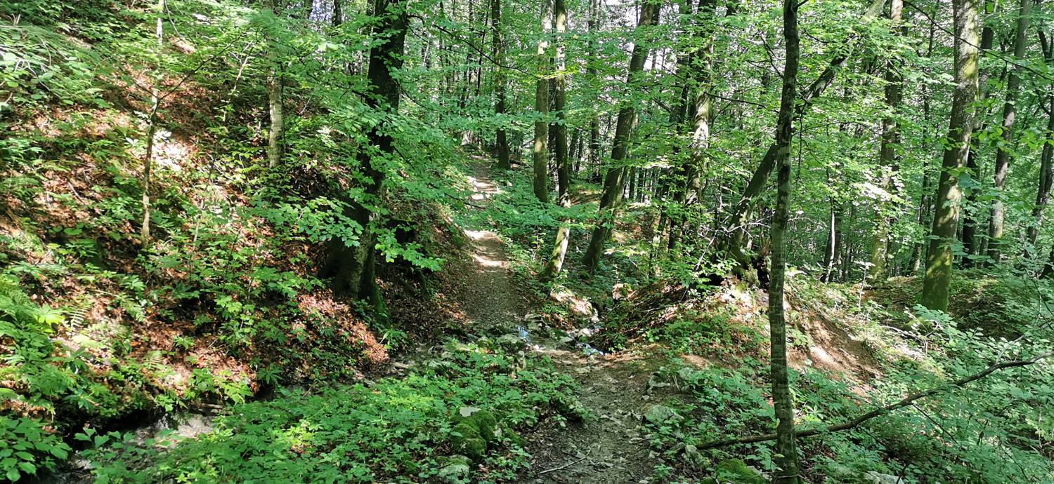Kobarid (center) - Kobarid (center) slika 40
