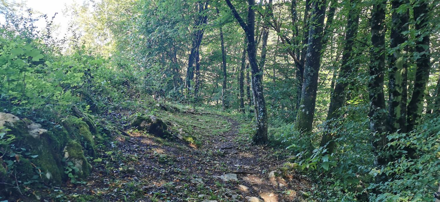 Kobarid (center) - Kobarid (center) slika 41