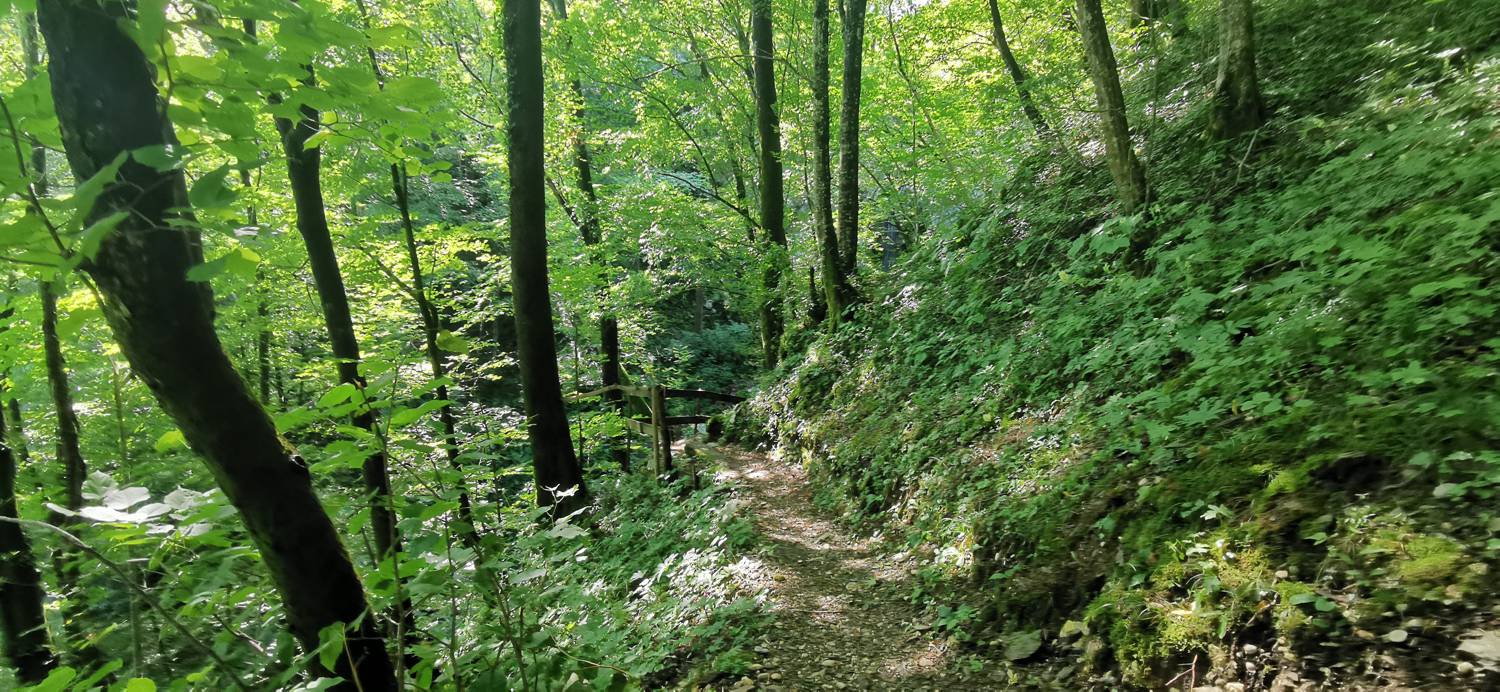 Kobarid (center) - Kobarid (center) slika 47