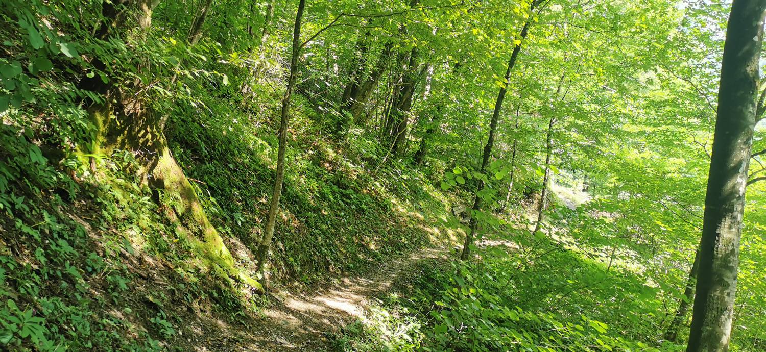 Kobarid (center) - Kobarid (center) slika 51