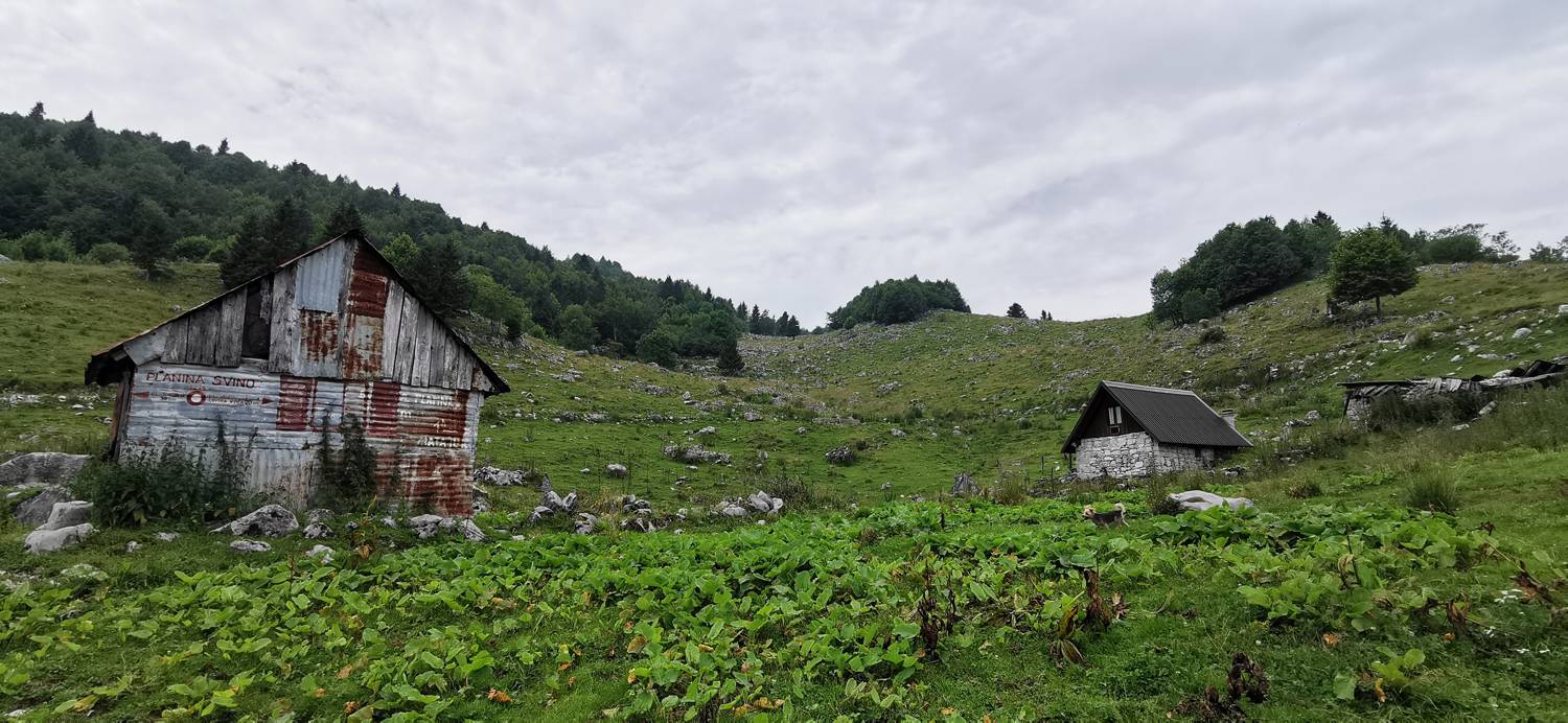 Planina Svino main photo