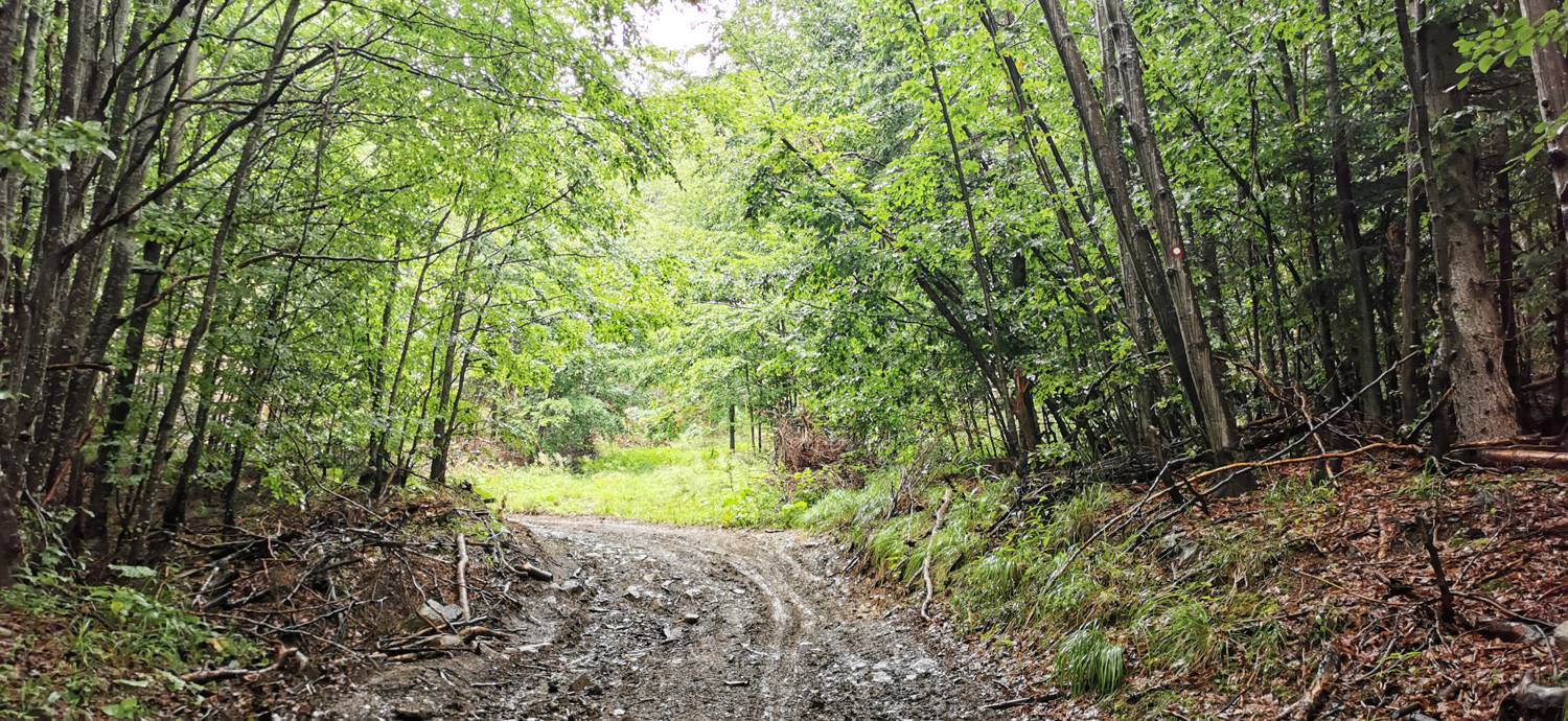 Kolarica - Koča na Travniku slika 3
