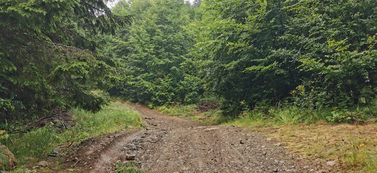 Kolarica - Koča na Travniku slika 4