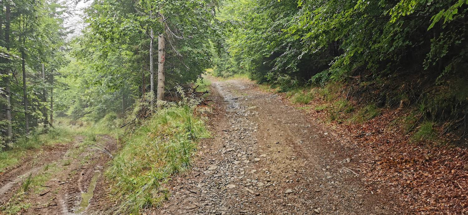 Kolarica - Koča na Travniku slika 5
