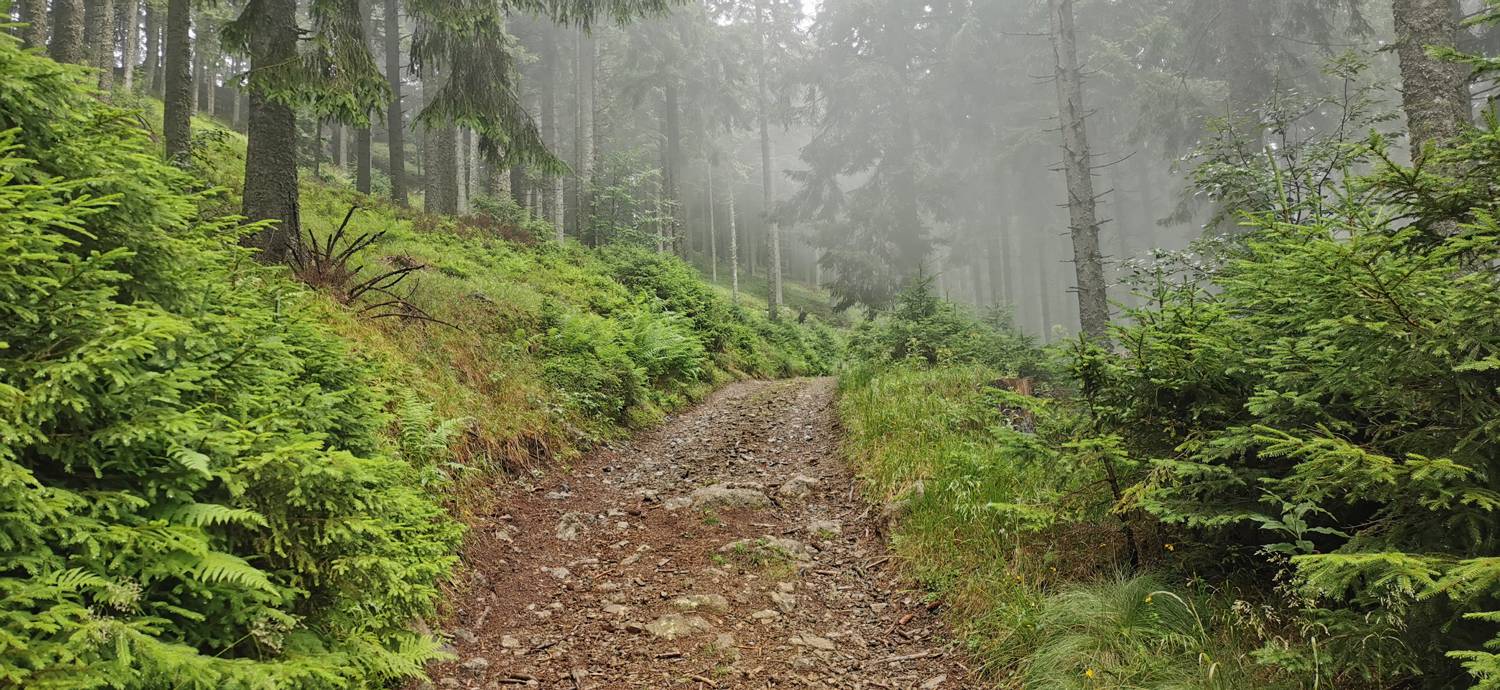 Kolarica - Koča na Travniku slika 7