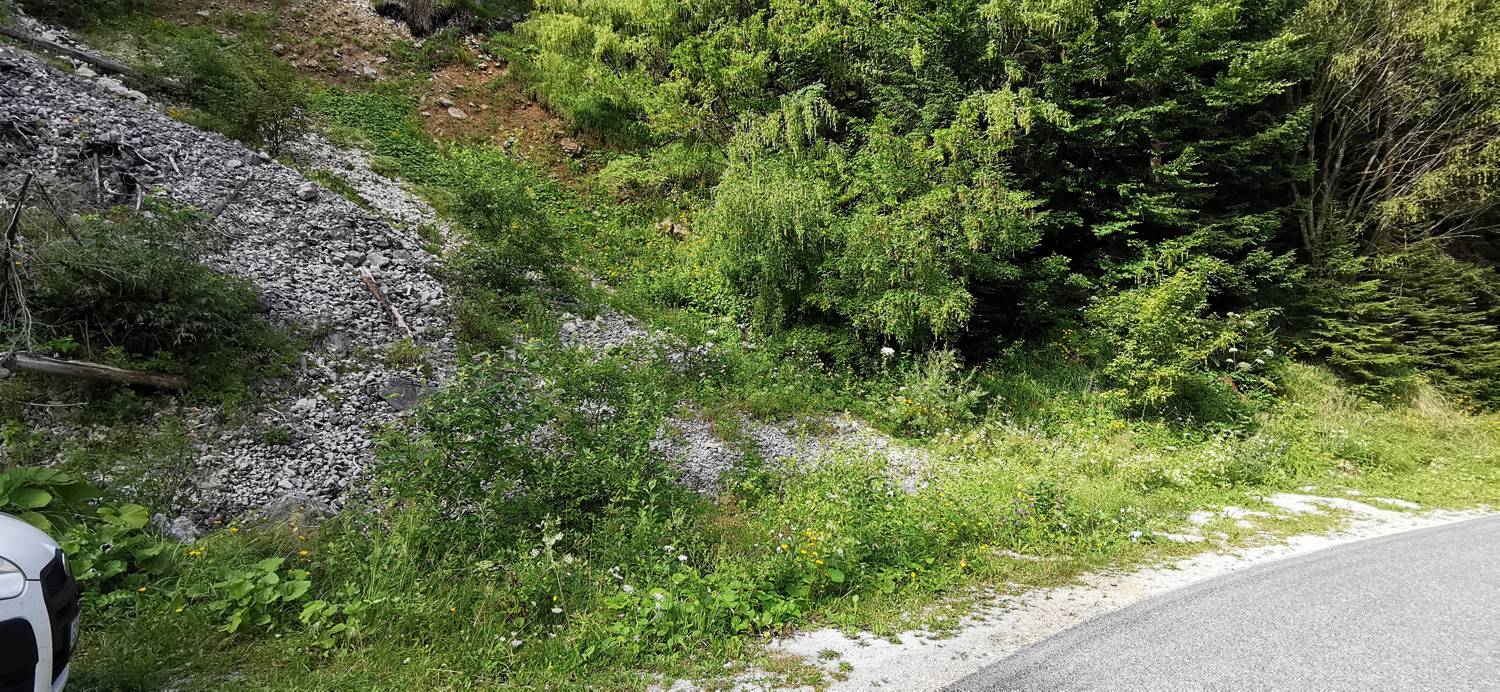 Planinska Ravna - Javorca (Golte) slika 2