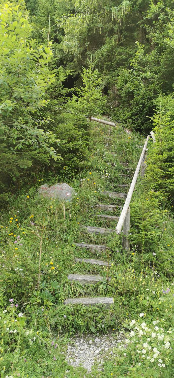 Planinska Ravna - Javorca (Golte) slika 3