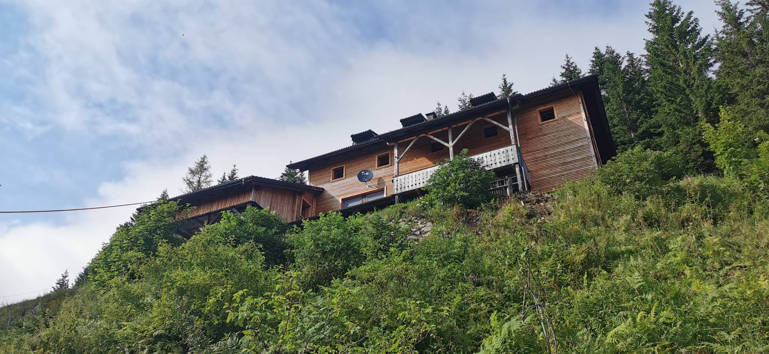 Planinska Ravna - Javorca (Golte) slika 18