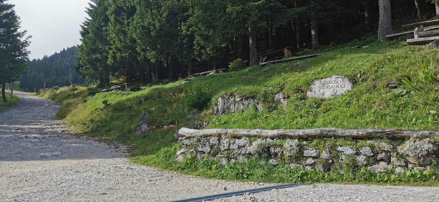 Planinska Ravna - Javorca (Golte) slika 20