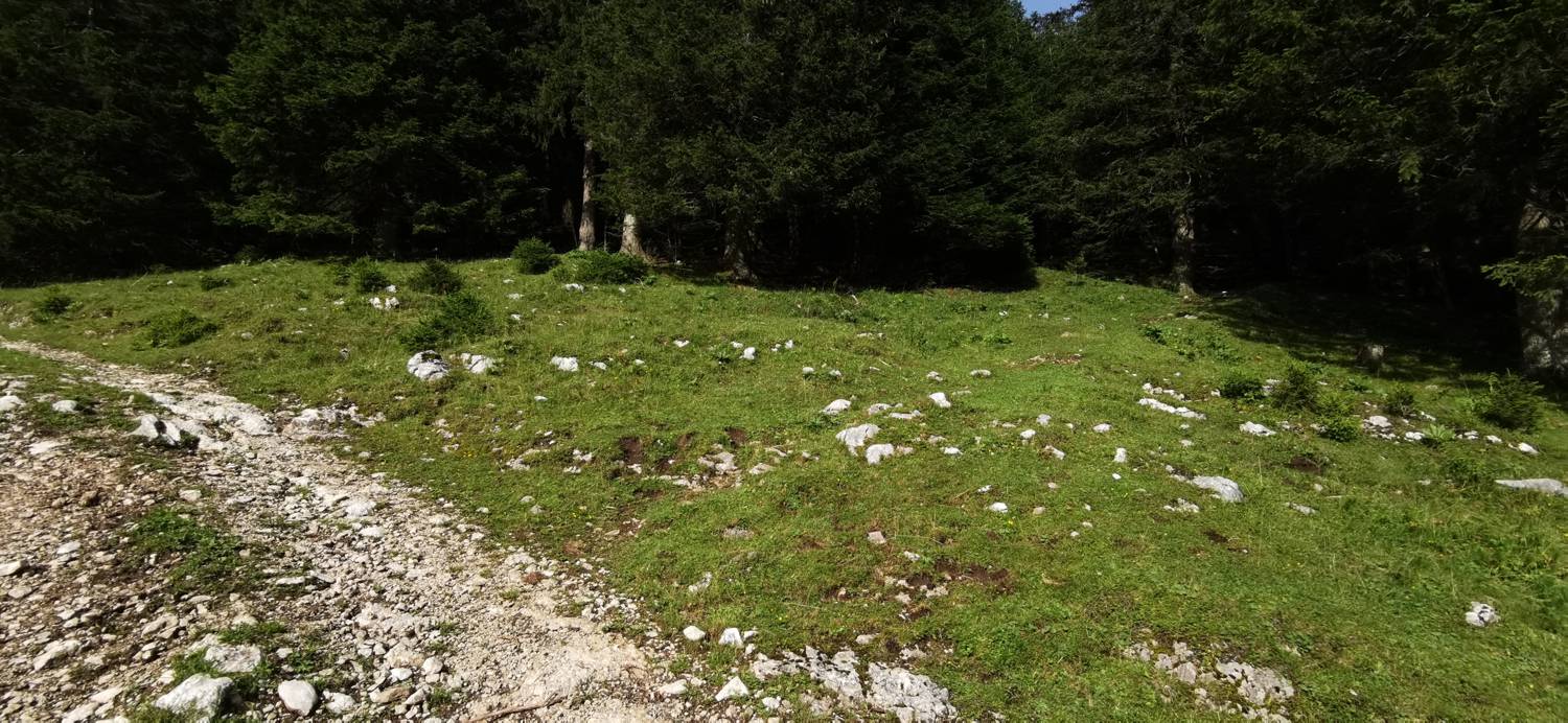 Parkirišče Mozirska koča - Javorca (Golte) slika 2