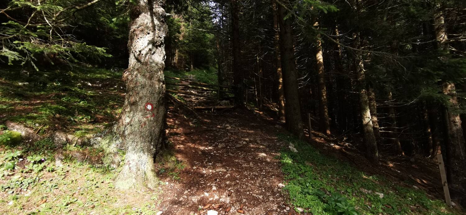 Parkirišče Mozirska koča - Javorca (Golte) slika 3