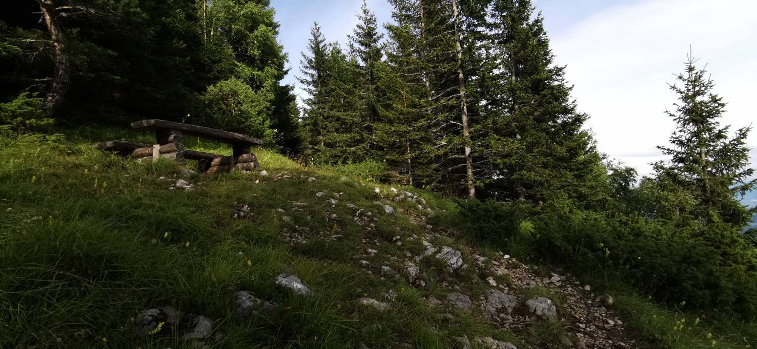 Planinska Ravna - Javorca (Golte) slika 25