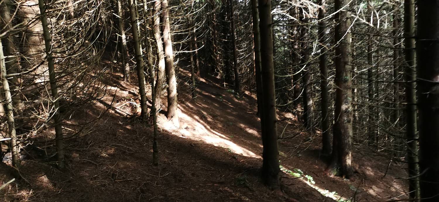 Parkirišče Mozirska koča - Javorca (Golte) slika 12