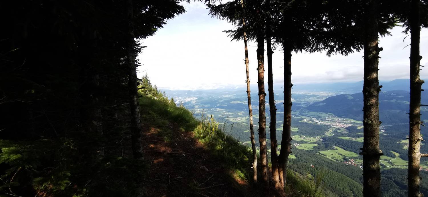 Planinska Ravna - Javorca (Golte) slika 33