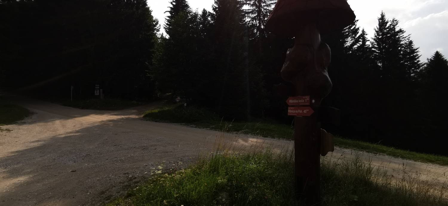 Koča na Pesniku - Ribniška koča slika 2